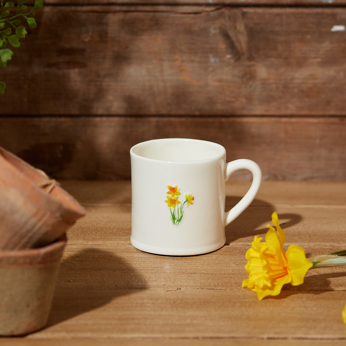 Richard Langs Daffodil Robins Ceramic Mug