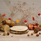Richard Langs Toadstool Tales Mushroom and Leaf Polyester Bunting