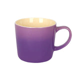 Rinkit 330ml Ombre Mug - Purple - Old Railway Line Garden Centre