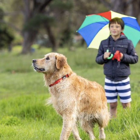 ROGZ Medium Red Classic Amphibian Dog Collar