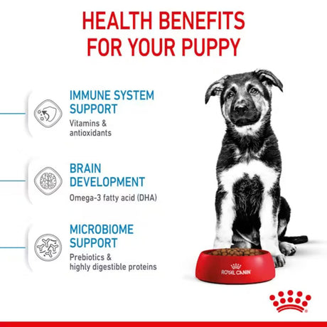 Royal Canin 4kg Maxi Puppy Dry Dog Food