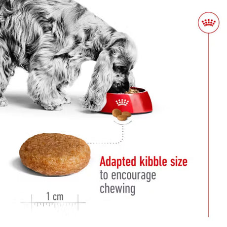 Royal Canin 4kg Medium Adult Dry Dog Food