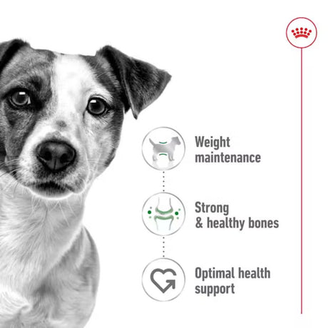 Royal Canin 2kg Mini Adult Dry Dog Food
