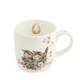 Royal Worcester Wrendale Designs 'Feather Your Nest' Mug - Old Railway Line Garden Centre
