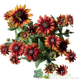 Rudbeckia hirta 'Enchanted Velvet Flame' Plant - 3Ltr Pot