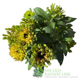 Rudbeckia hirta ''Enchanted Nightfall' Plant - 3Ltr Pot