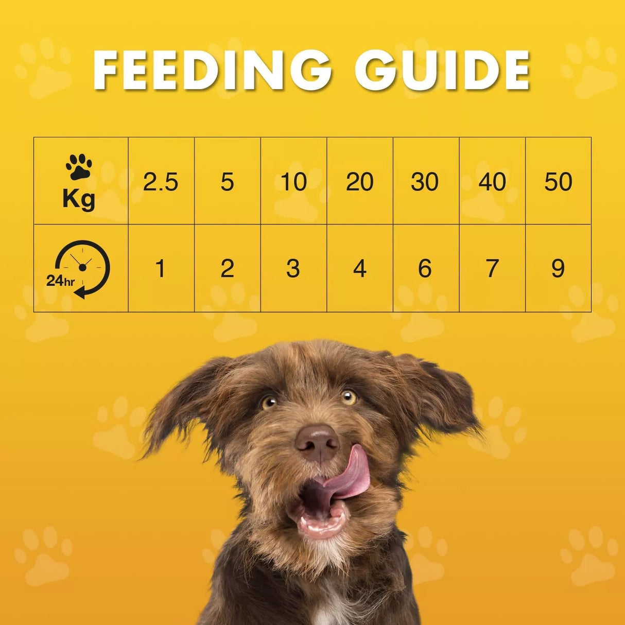 Pet Munchies 100g Dog Treats - Chicken & Cheese