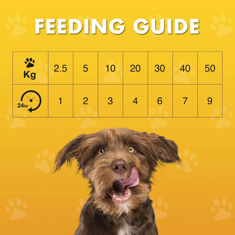 Pet Munchies 100g Dog Treats - Chicken & Cheese