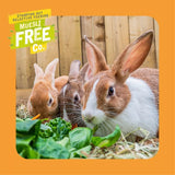 Burgess Excel 1.5kg Rabbit Adult Oregano