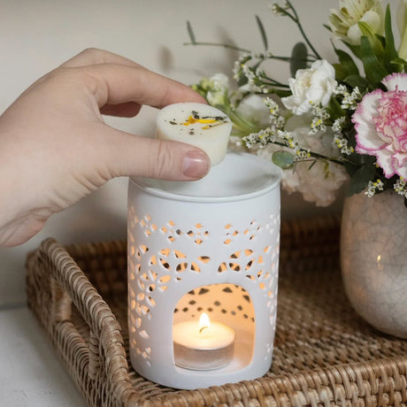 Samalanah Collection Lemongrass & Ginger Wax Melts