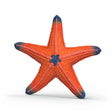 Schleich Colour Change Starfish - Old Railway Line Garden Centre