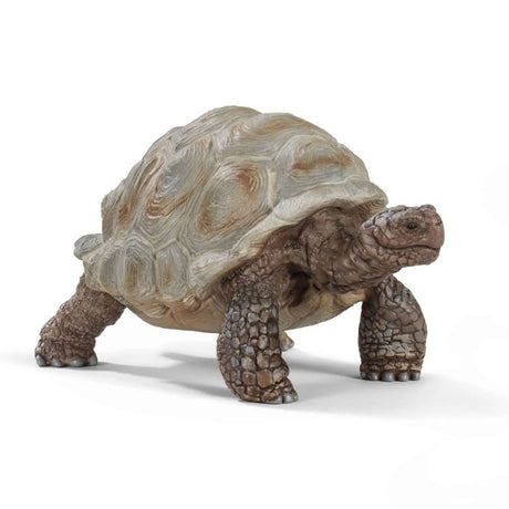 Schleich Giant Tortoise - Old Railway Line Garden Centre