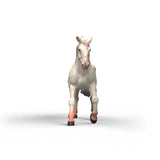 Schleich Knabstrupper Mare