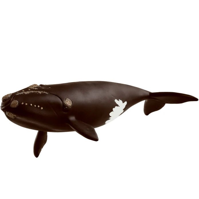 Schleich North Atlantic Right Whale - Old Railway Line Garden Centre