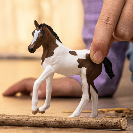 Schleich Paint Horse Foal - Old Railway Line Garden Centre