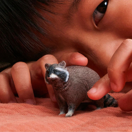 Schleich Racoon - Old Railway Line Garden Centre