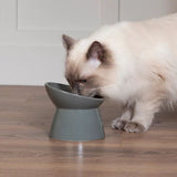 Scruffs 12cm Classic Grey Raised Cat Feeder Bowl