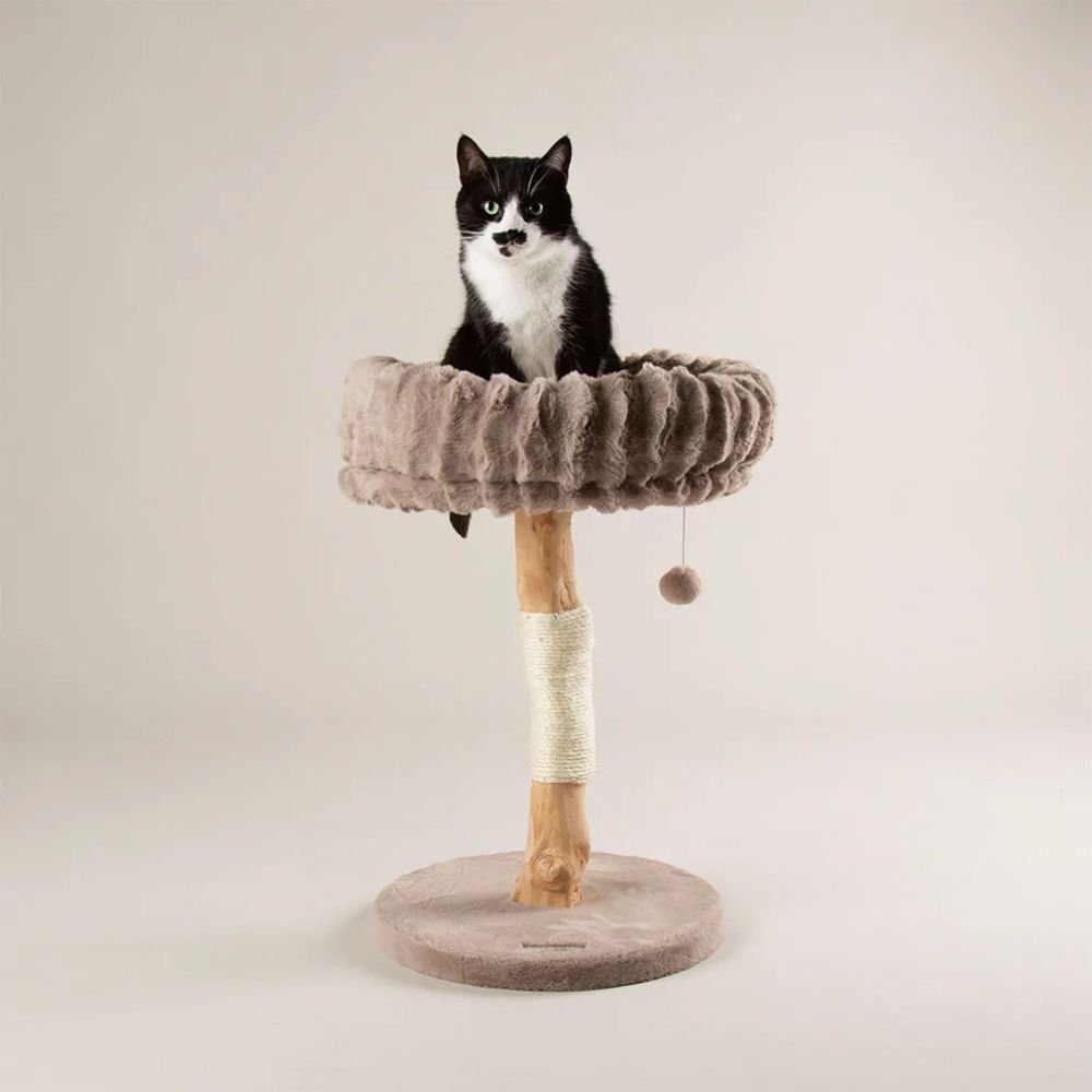Scruffs Appalachians Cat Scratching Tree - Taupe - Old Railway Line Garden Centre