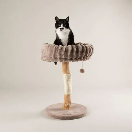 Scruffs Appalachians Cat Scratching Tree - Taupe - Old Railway Line Garden Centre