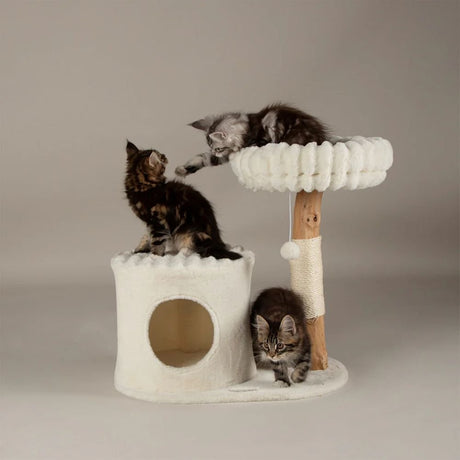 Scruffs Himalayas Cat Scratching Tree - Cream - Old Railway Line Garden Centre