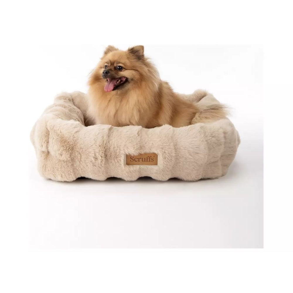 Scruffs Medium Alpine Box Bed - Champagne