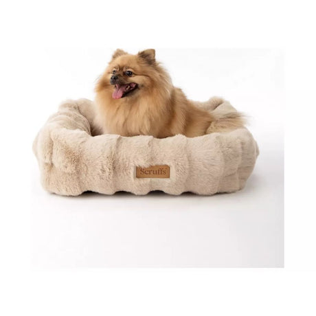 Scruffs Medium Alpine Box Bed - Champagne