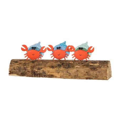 Shoeless Joe 7.5cm Three Hermit Crabs on Driftwood Ornament - Old Railway Line Garden Centre