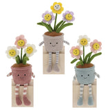 Shudehill 15cm Posies Pot Plant Pals (Choice of 3)
