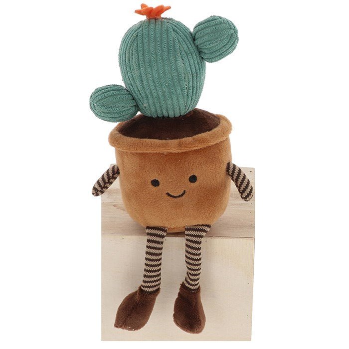 Shudehill 15cm Succulents Pot Plant Pals (Choice of 3) - Old Railway Line Garden Centre