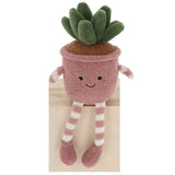 Shudehill 15cm Succulents Pot Plant Pals (Choice of 3) - Old Railway Line Garden Centre