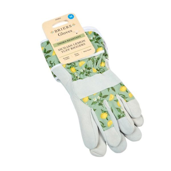 Sicilian Lemon Premium Lightweight Rigger - Medium - Old Railway Line Garden Centre