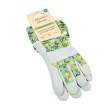 Sicilian Lemon Premium Lightweight Rigger - Medium - Old Railway Line Garden Centre