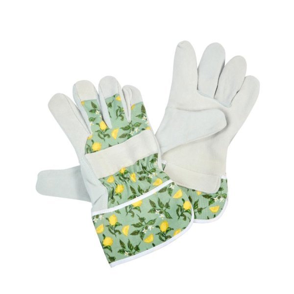 Sicilian Lemon Premium Lightweight Rigger - Medium - Old Railway Line Garden Centre