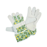 Sicilian Lemon Premium Lightweight Rigger - Medium - Old Railway Line Garden Centre