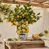 Sifcon 26cm Citrus Zest Lemon Tree Vase - Small