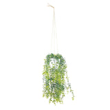 Sincere Floral 118cm Assorted Foliage Hanging Plants in Pots - Old Railway Line Garden Centre