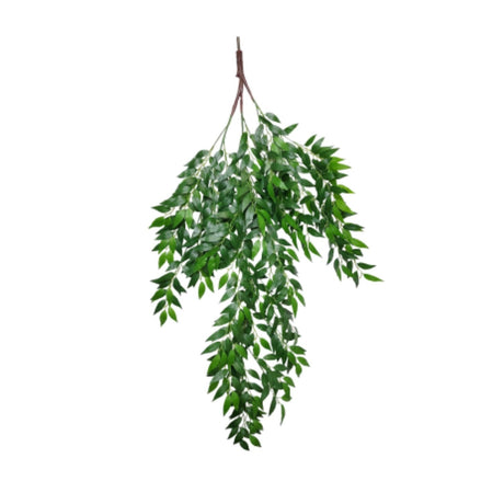 Sincere Floral 135cm Trailing Ruscus Branch - Old Railway Line Garden Centre