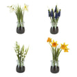 Sincere Floral 18cm Mini Plants in Jars - Old Railway Line Garden Centre