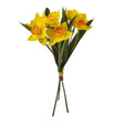 Sincere Floral 30cm Yellow Narcissus Bunch - Old Railway Line Garden Centre