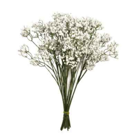 Sincere Floral 48cm Gypsophila Stem - Old Railway Line Garden Centre