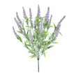 Sincere Floral 55cm Lavender Bush - Old Railway Line Garden Centre
