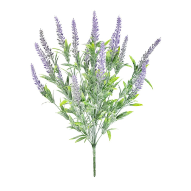Sincere Floral 55cm Lavender Bush - Old Railway Line Garden Centre
