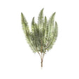 Sincere Floral 80cm Fern Leaf Branch - Old Railway Line Garden Centre