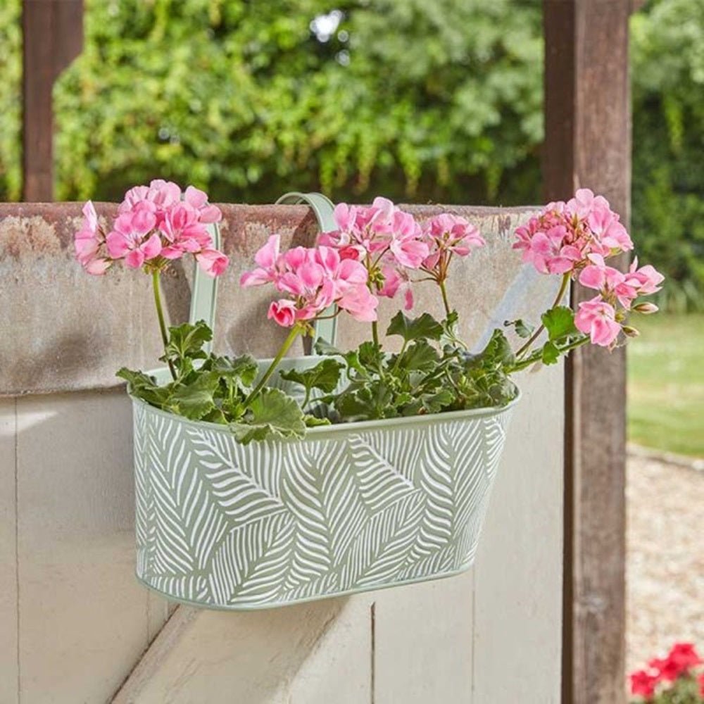 Smart Garden 12" 30cm Fence & Balcony Metal Hanging Pot Fern Sage - Old Railway Line Garden Centre