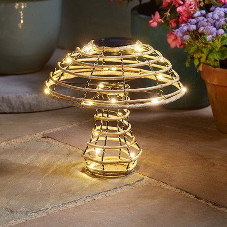 Smart Garden 22cm Glow Cap Rattan Mushroom Large - Old Railway Line Garden Centre