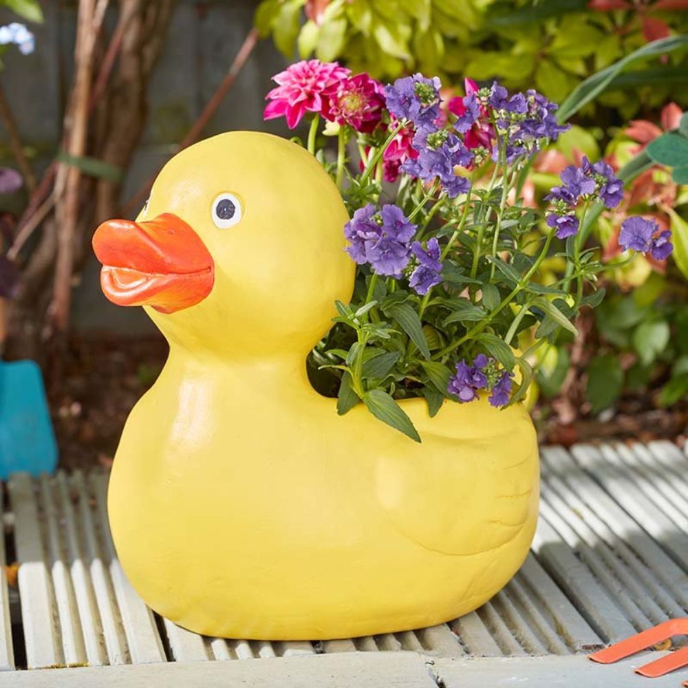 Smart Garden 24cm Duck Planter