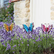Smart Garden 50cm Bella Butterflies Loony Stakes (Choice of 3) - Old Railway Line Garden Centre