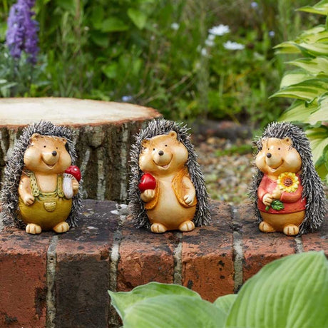 Smart Garden Baby Hoglet Garden Ornament (Choice of 3) - Old Railway Line Garden Centre
