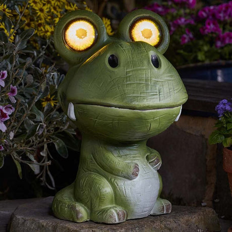 Smart Garden Croc Eyes - Old Railway Line Garden Centre