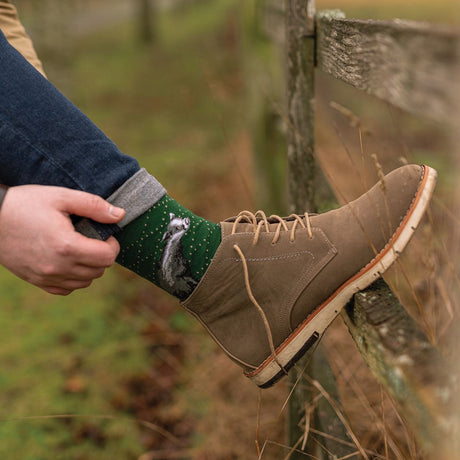 Wrendale 7-11 'The Country Gent' Badger Men's Socks